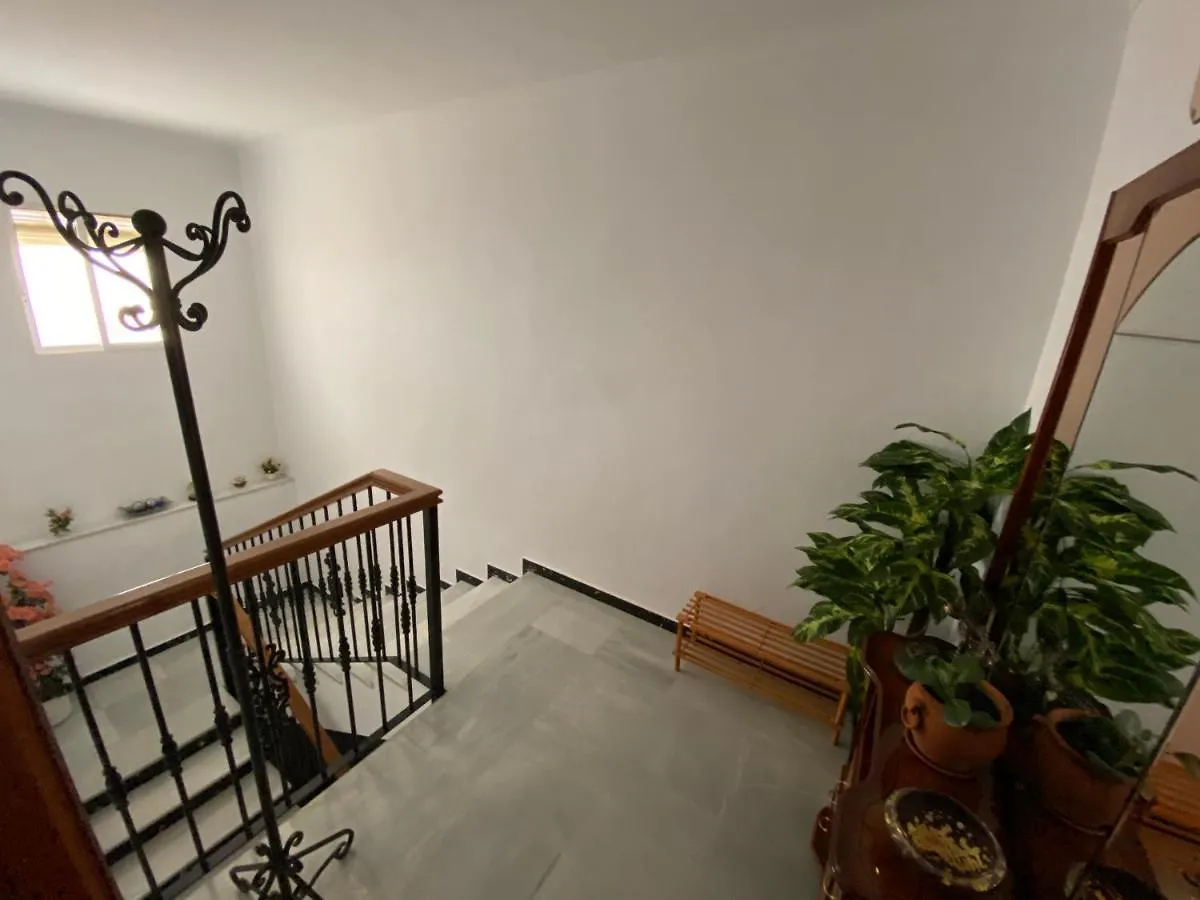 Apartamentos 